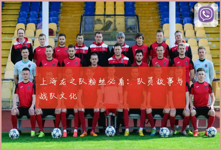 上海龙之队粉丝必看：队员故事与战队文化