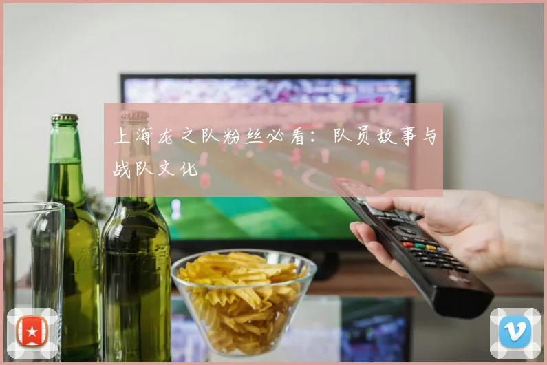 上海龙之队粉丝必看：队员故事与战队文化