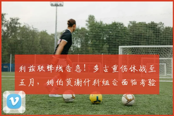 利兹联锋线告急！多古重伤休战至五月，姆伯莫谢什科组合面临考验