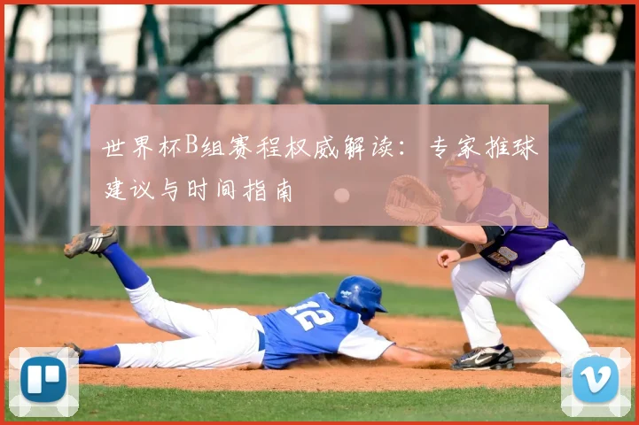 世界杯B组赛程权威解读：专家推球建议与时间指南